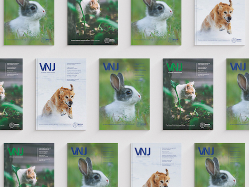 Veterinary Nursing Journal magazine covers with pets on them
